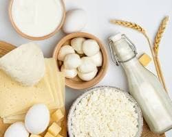 Dairy Products